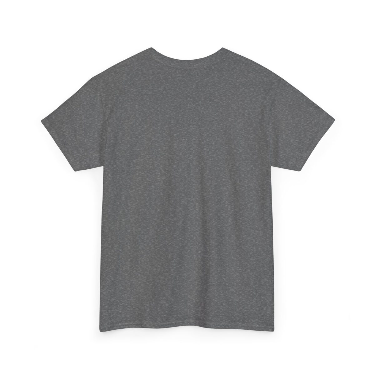 minimalist sailing t-shirt vintage SAIL